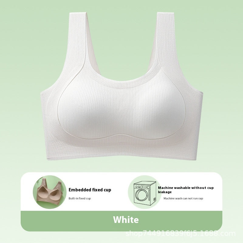 Fixed Cup Seamless Underwear For Women