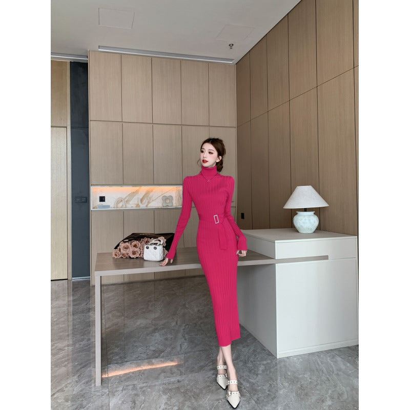 Elegant High-neck Sweater Paired With A High-waisted Stretchy Figure-hugging Knit Sheath Dress