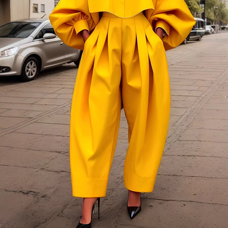 Women's Casual Work 2 Piece Set Bell Long Sleeve Shirt Harem Pant Outfits